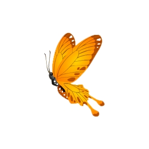 Tangerine Butterfly